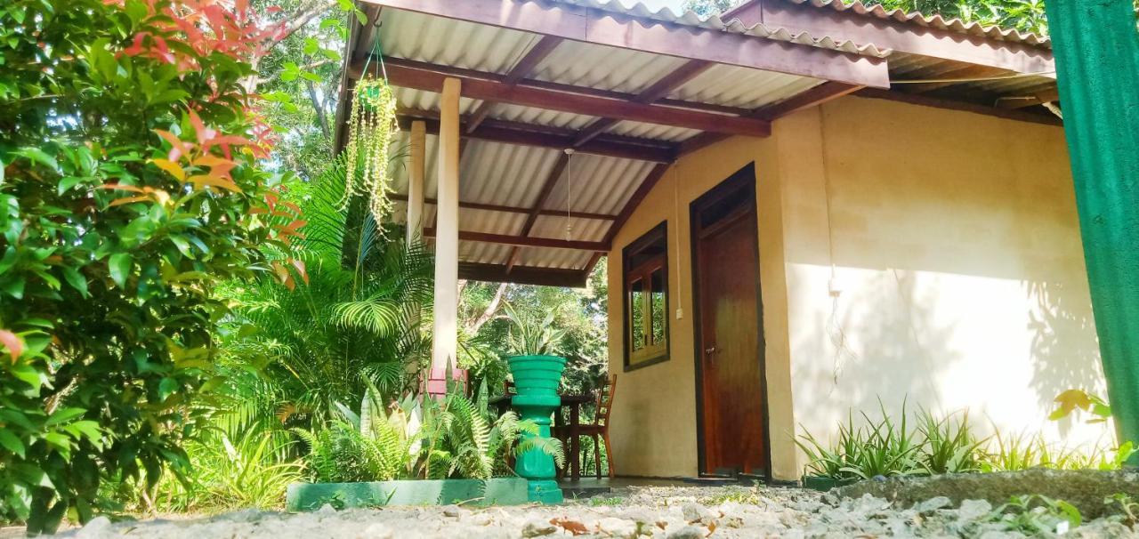 Joshua'S Cottage Sigiriya Ngoại thất bức ảnh