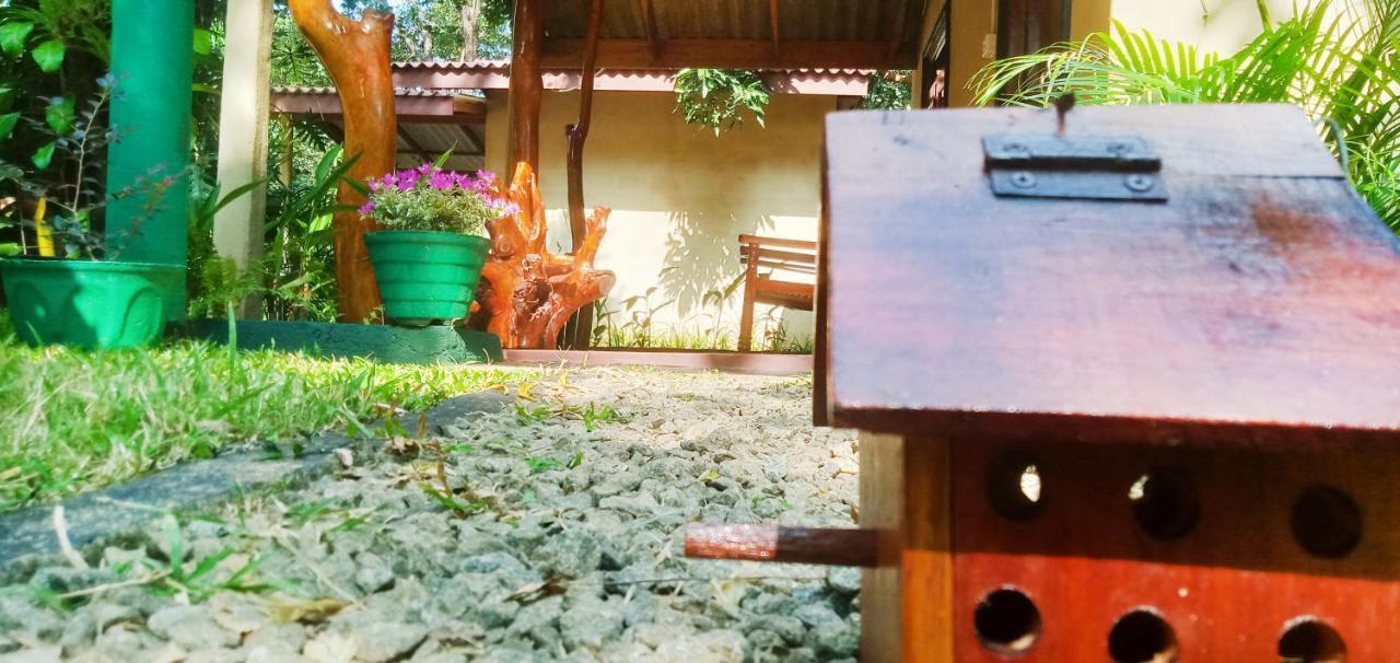 Joshua'S Cottage Sigiriya Ngoại thất bức ảnh