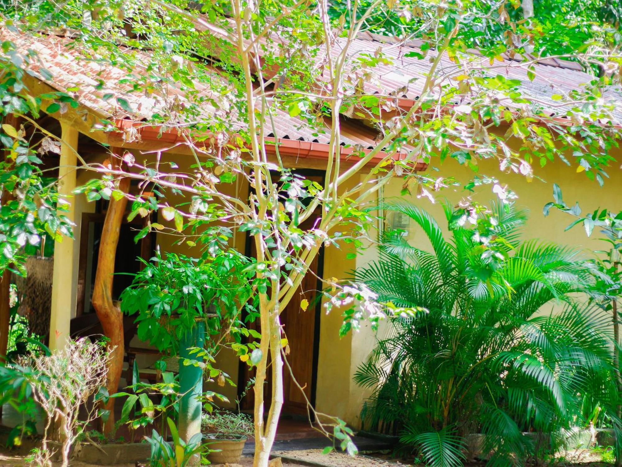 Joshua'S Cottage Sigiriya Ngoại thất bức ảnh